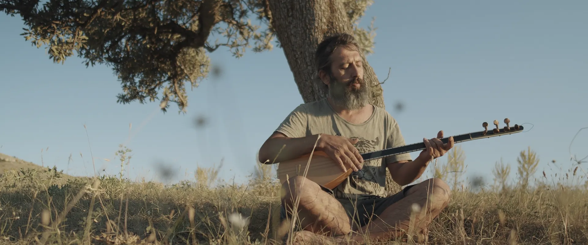 A musician playing a stringed instrument beneath an olive tree